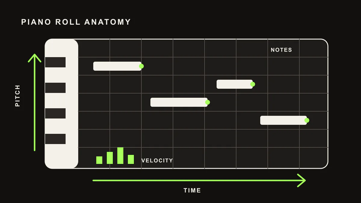 Piano roll anatomy showing pitch, time, notes, and velocity
